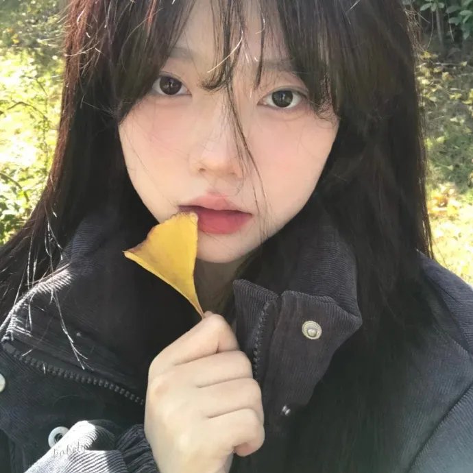 模特儿凶杀案